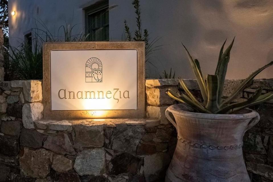 Anamnezia Luxury Suites (Adults Only) Agios Dimitrios  외부 사진