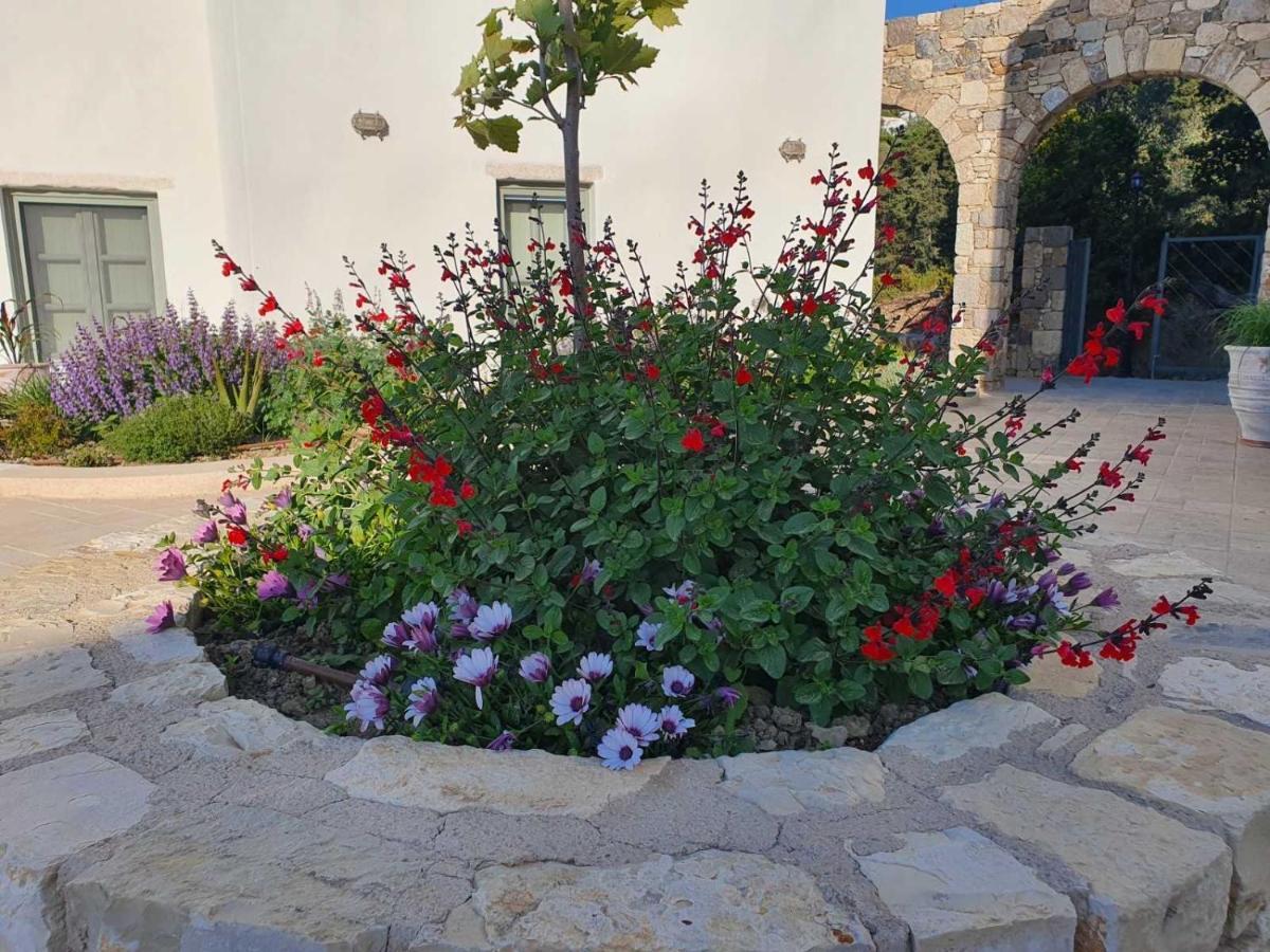 Anamnezia Luxury Suites (Adults Only) Agios Dimitrios  외부 사진